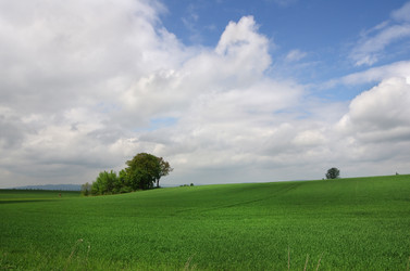 Similar image 6331193