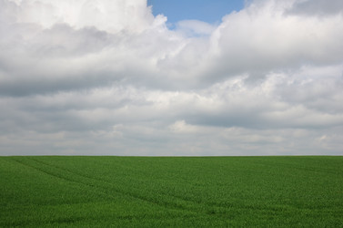 Similar image 6331194