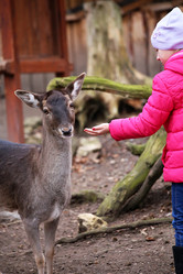 Similar image 6331233