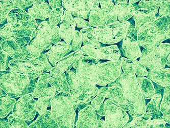 Similar image 6331363