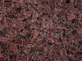 Similar image 6331364