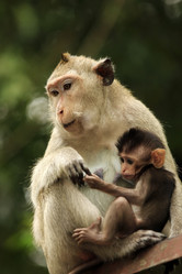 Similar image 6331397