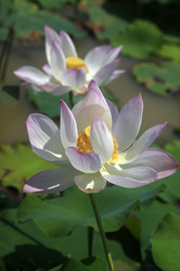 Similar image 6331399