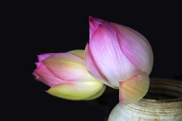 Similar image 6331401