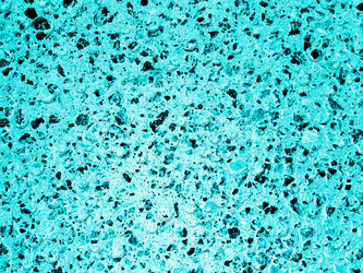 Similar image 6331410