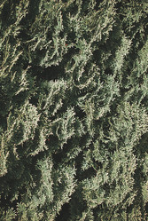 Similar image 6331445