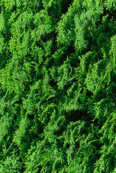 Similar image 6331465