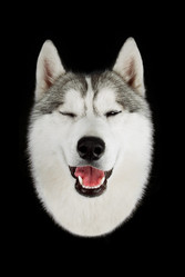 Similar image 6331491