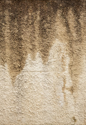 Similar image 6331561