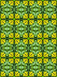 Similar image 6331615