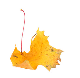 Similar image 6332256