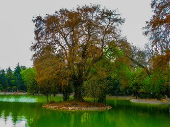 Similar image 6332273