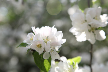 Similar image 6332310