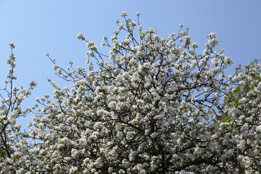 Similar image 6332327