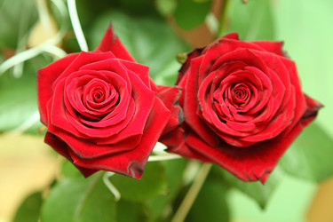 Similar image 6332328