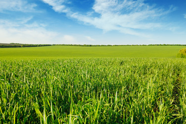 Similar image 6332375