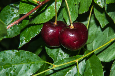 Similar image 6332381