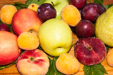 Similar image 6332461