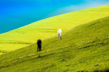 Similar image 6332493