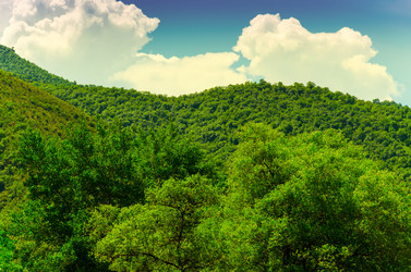 Similar image 6332494