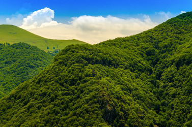 Similar image 6332512