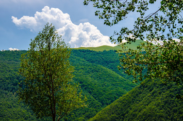 Similar image 6332515