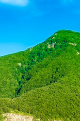 Similar image 6332524