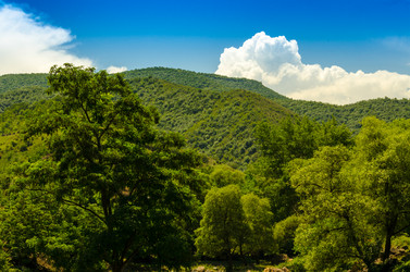 Similar image 6332528