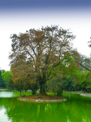 Similar image 6332537