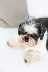 Similar image 6332743