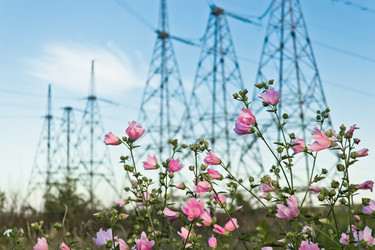 Similar image 6332856