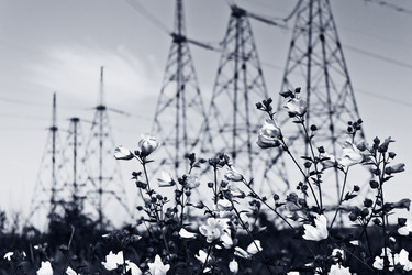 Similar image 6332857