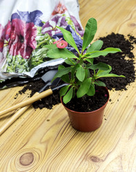 Similar image 6332860