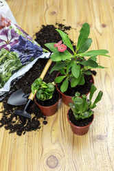 Similar image 6332861