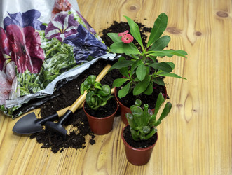 Similar image 6332862