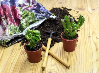 Similar image 6332863