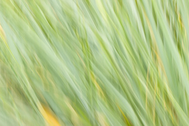 Similar image 6332868