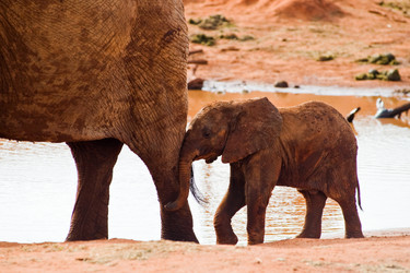 Similar image 6332958