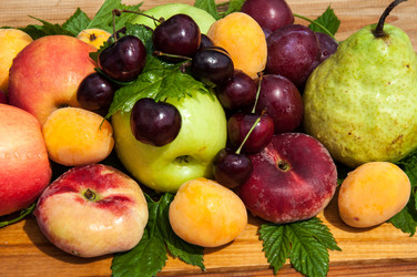 Similar image 6332984