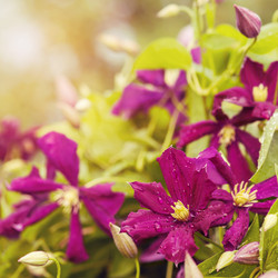 Similar image 6333003