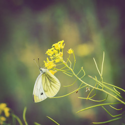 Similar image 6333007