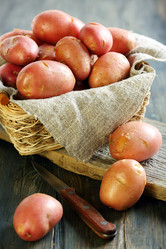 Similar image 6333090