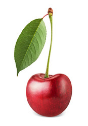 Similar image 6333152