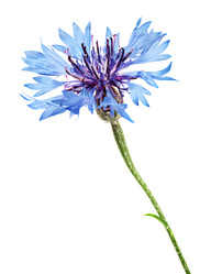 Similar image 6333176