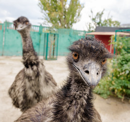 Similar image 6333505