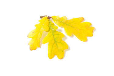 Similar image 6333561