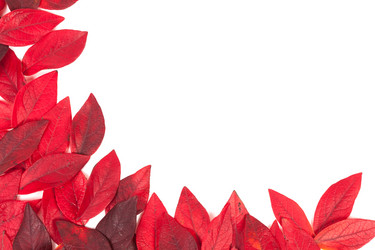 Similar image 6333563