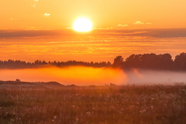 Similar image 6333575