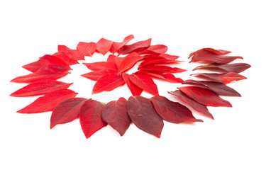 Similar image 6333594