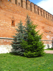 Similar image 6333615